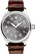 IWC IW324001