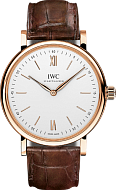IWC IW511101