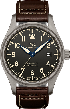 IWC IW327006